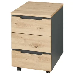 Arbeitszimmermöbel 9teilig Esdravos