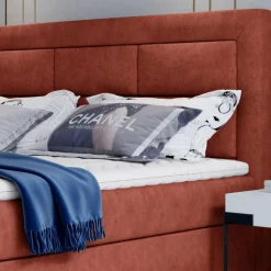 Box Bett Arabico