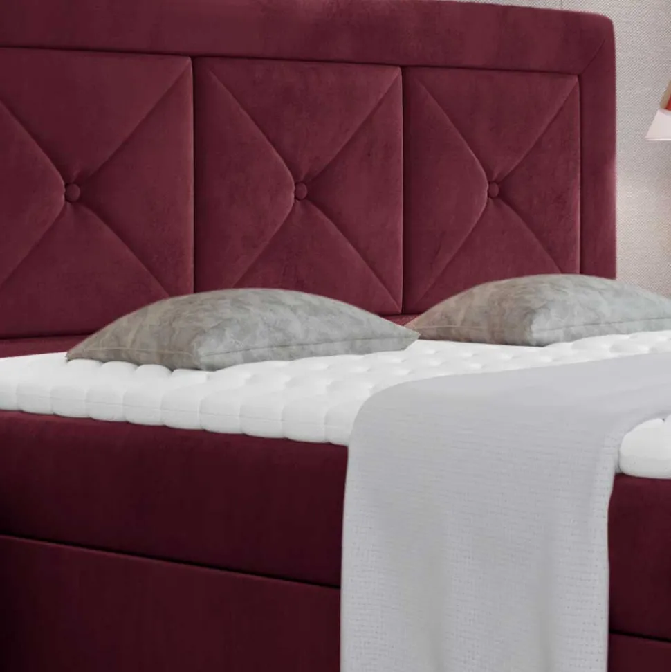 Boxbett Cigano