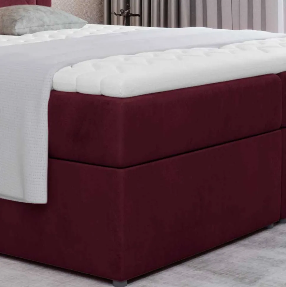 Boxbett Cigano