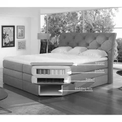 Boxbett Ciomore