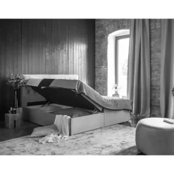 Boxbett Dambrosio