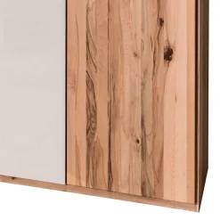 Drehtürenschrank Jassena