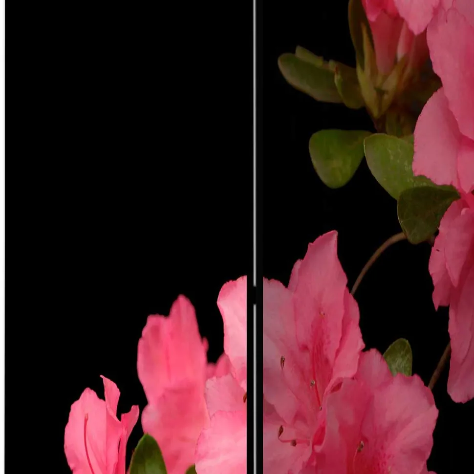 Fotodruck Paravent Marlyna