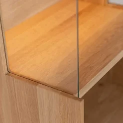 Wandvitrine Lakosion