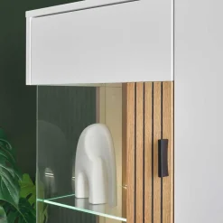 Wohnzimmer Schrankwand Saladd